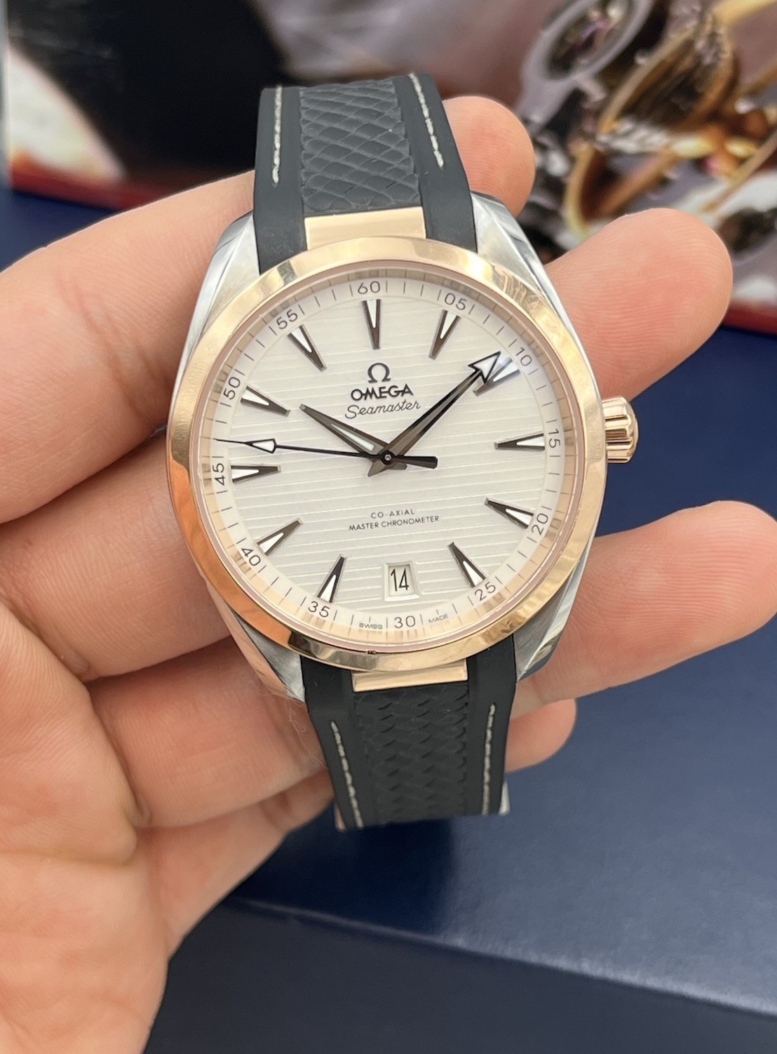 Omega Aqua Terra 220.22.41.21.02.001