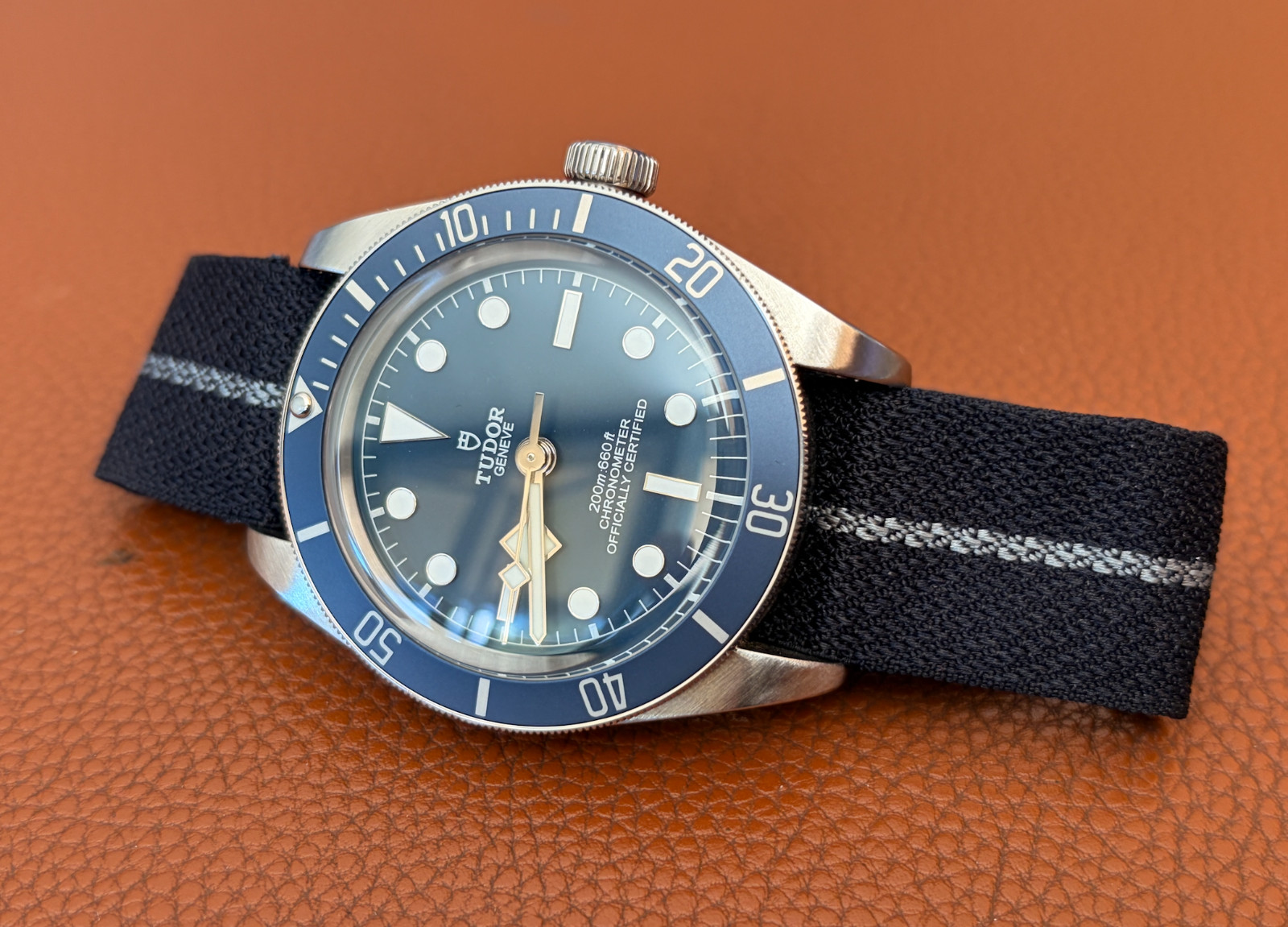 Tudor Black Bay M79030B