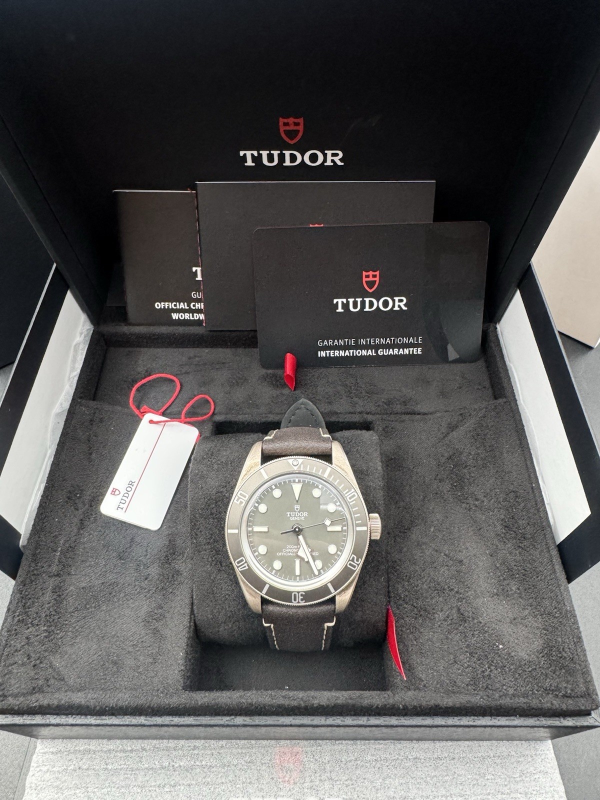 Tudor Black Bay 79010SG