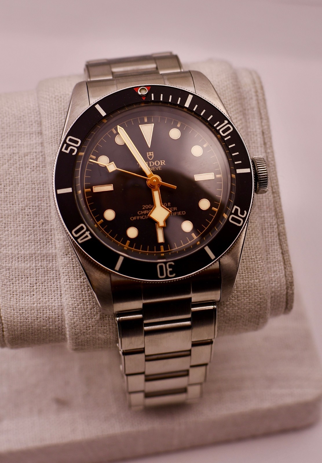 Tudor Black Bay M79230N