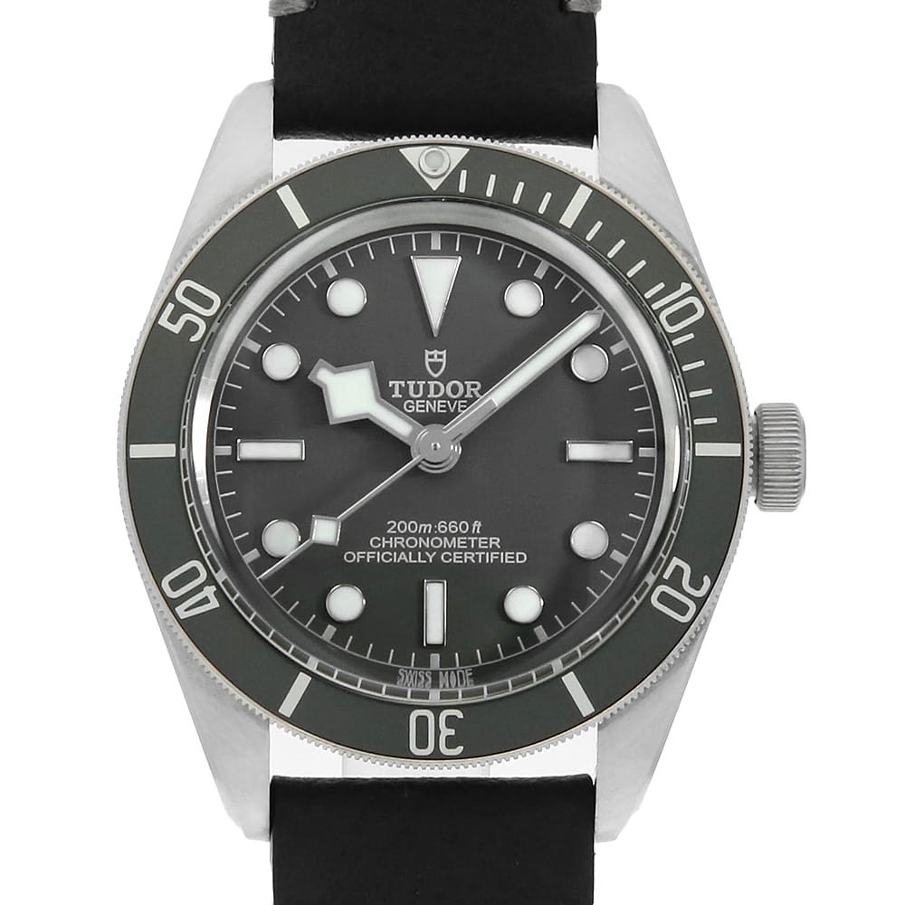 Tudor Black Bay 79010SG