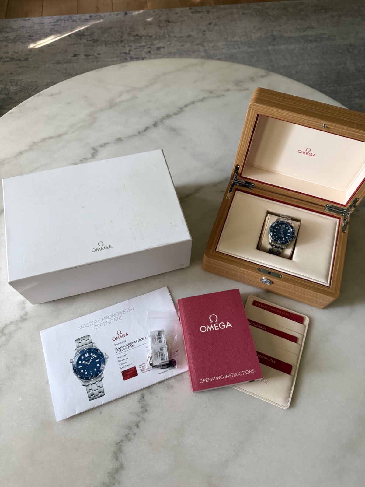 Omega Seamaster 300 210.30.42.20.03.001