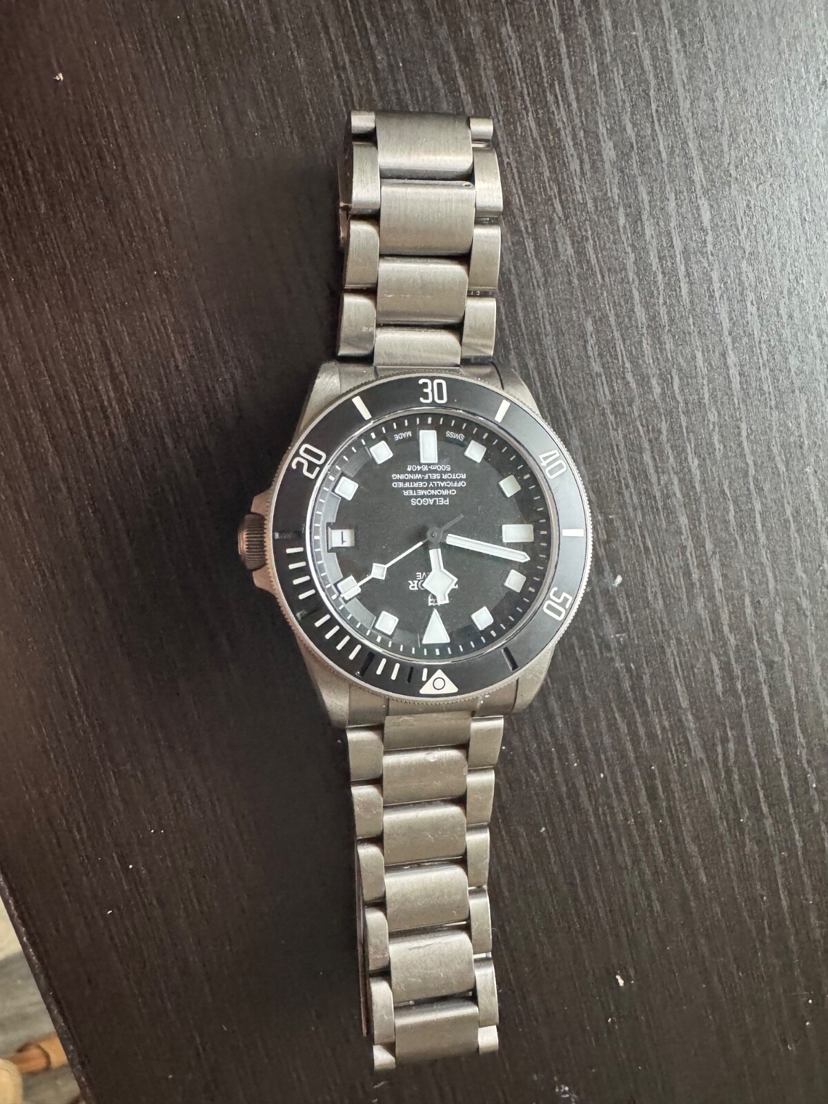 Tudor Pelagos 25600TN