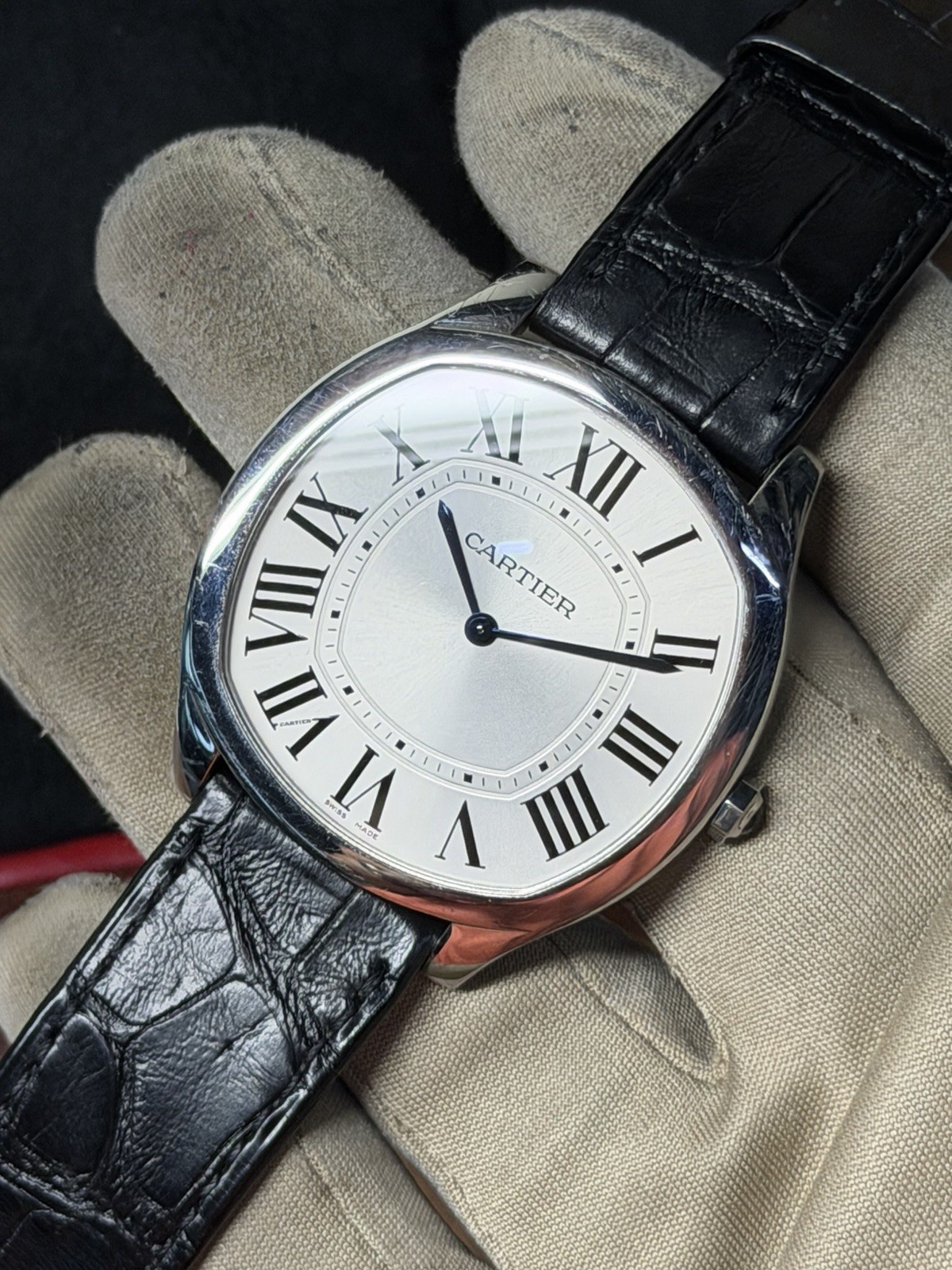 Cartier Drive WSNM0011