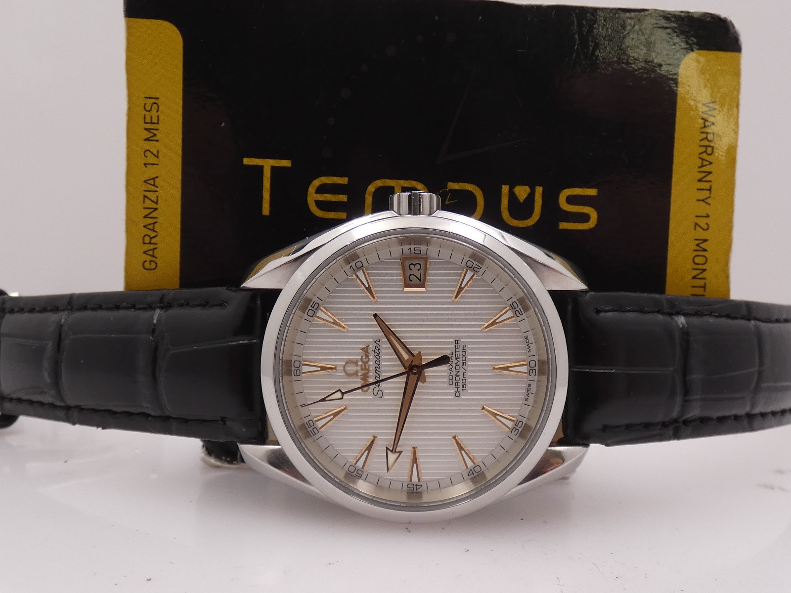Omega Aqua Terra 231.13.39.21.02.002