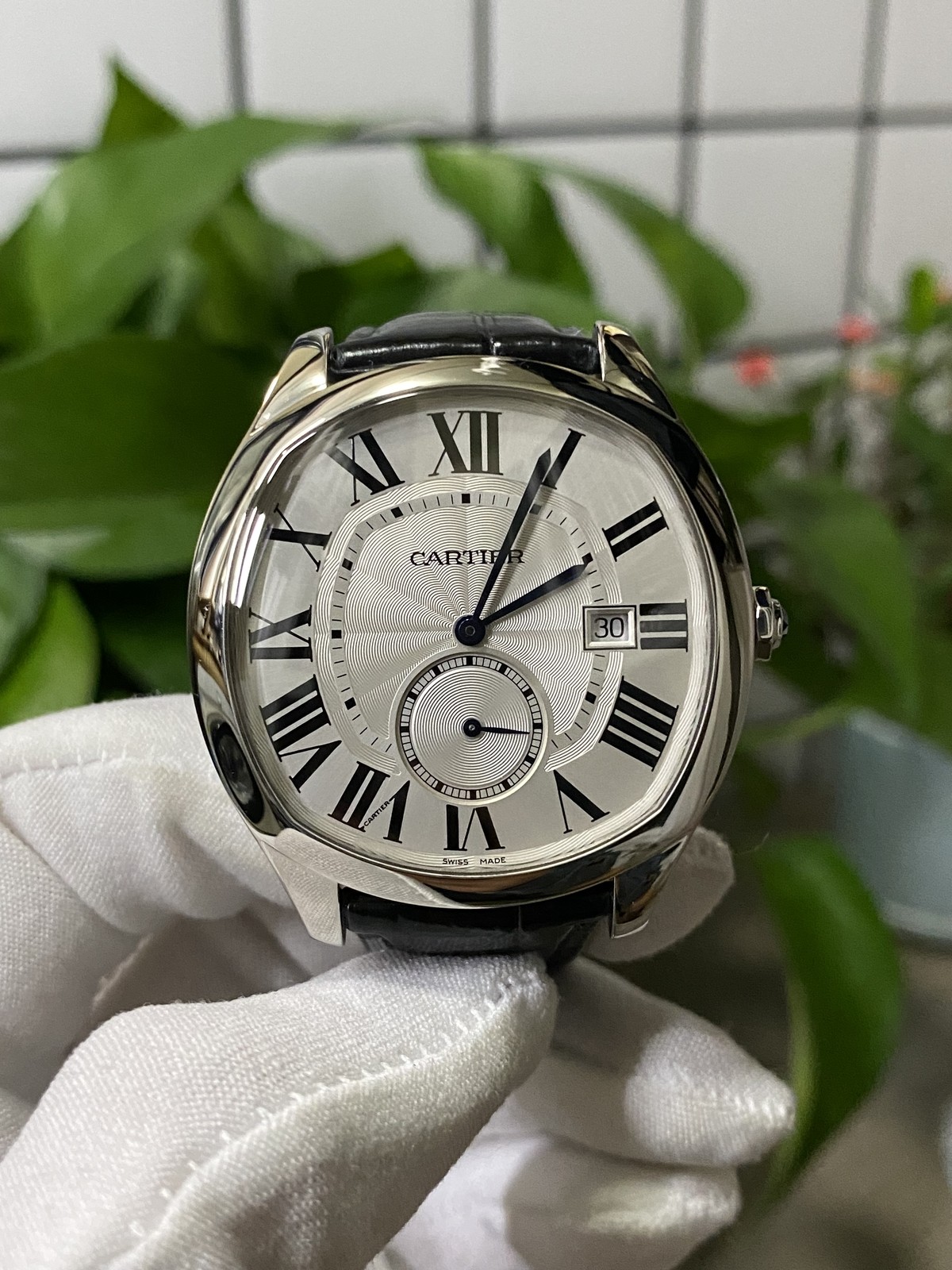 Cartier Drive WSNM0004