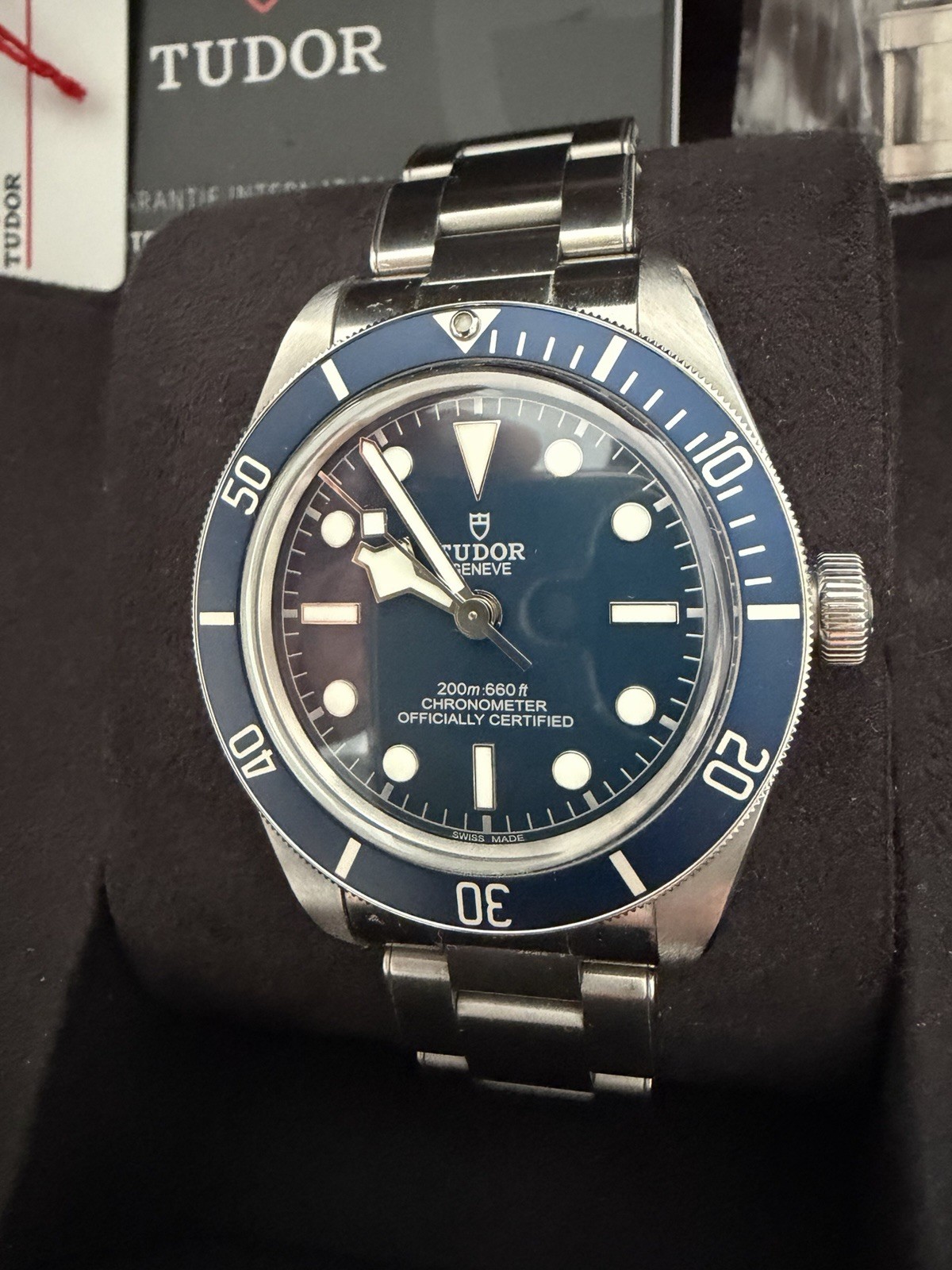 Tudor Black Bay 58 M79030B-0001