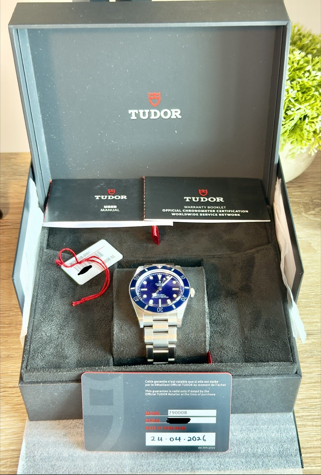Tudor Black Bay M79000B