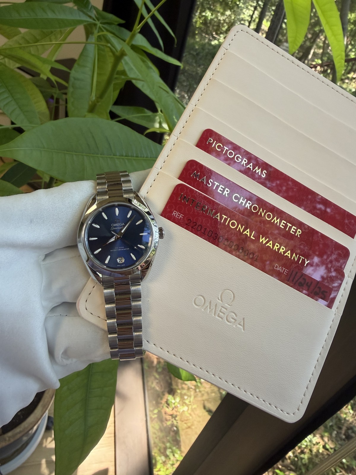 Omega Aqua Terra 220.10.30.20.03.001