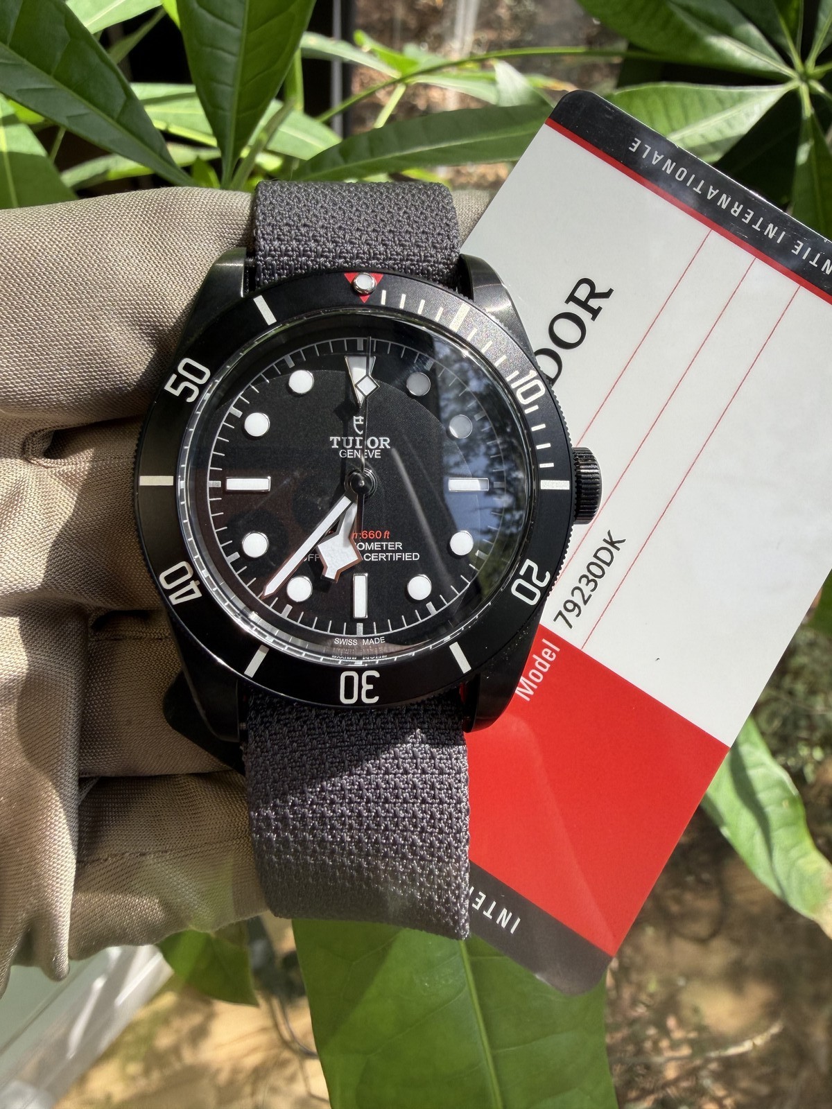 Tudor Black Bay 0006