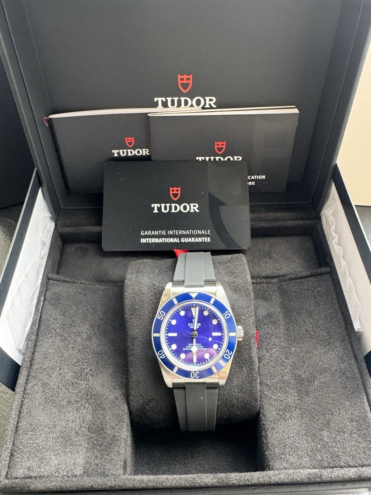 Tudor Black Bay M79000B-0002