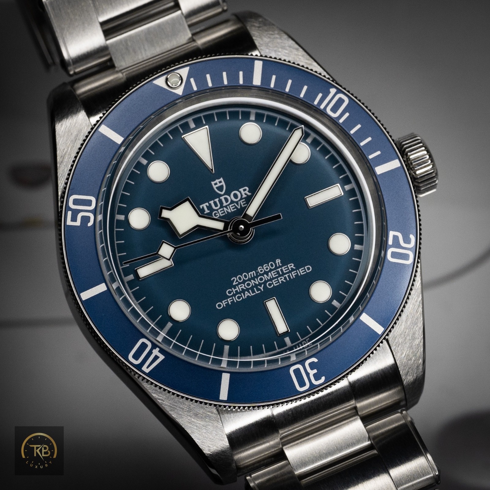 Tudor Black Bay M79030B-0001