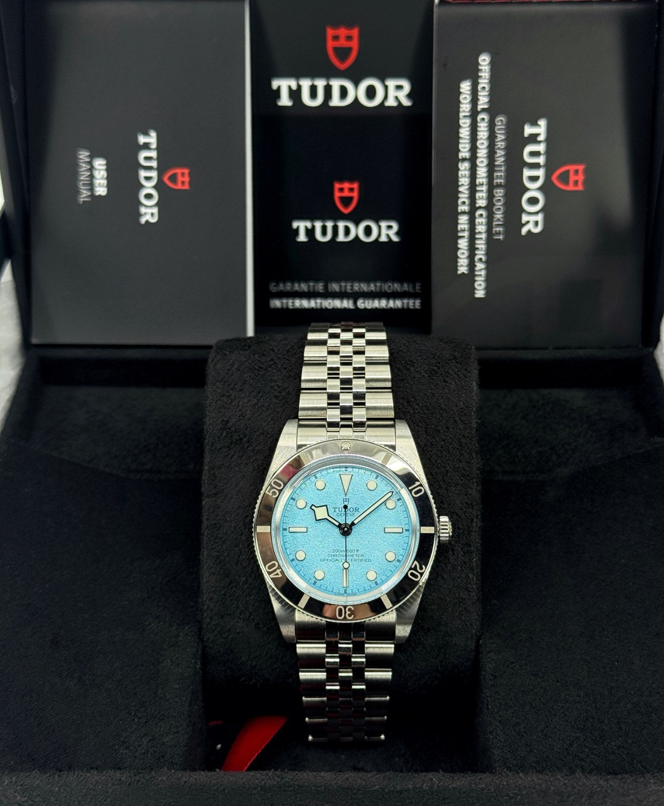 Tudor Black Bay 79000-0001