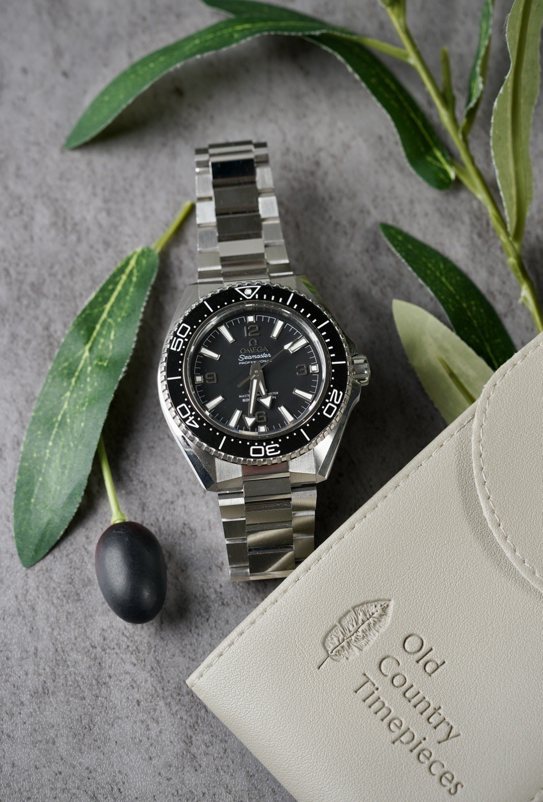 Omega Planet Ocean 217.30.42.21.01.001