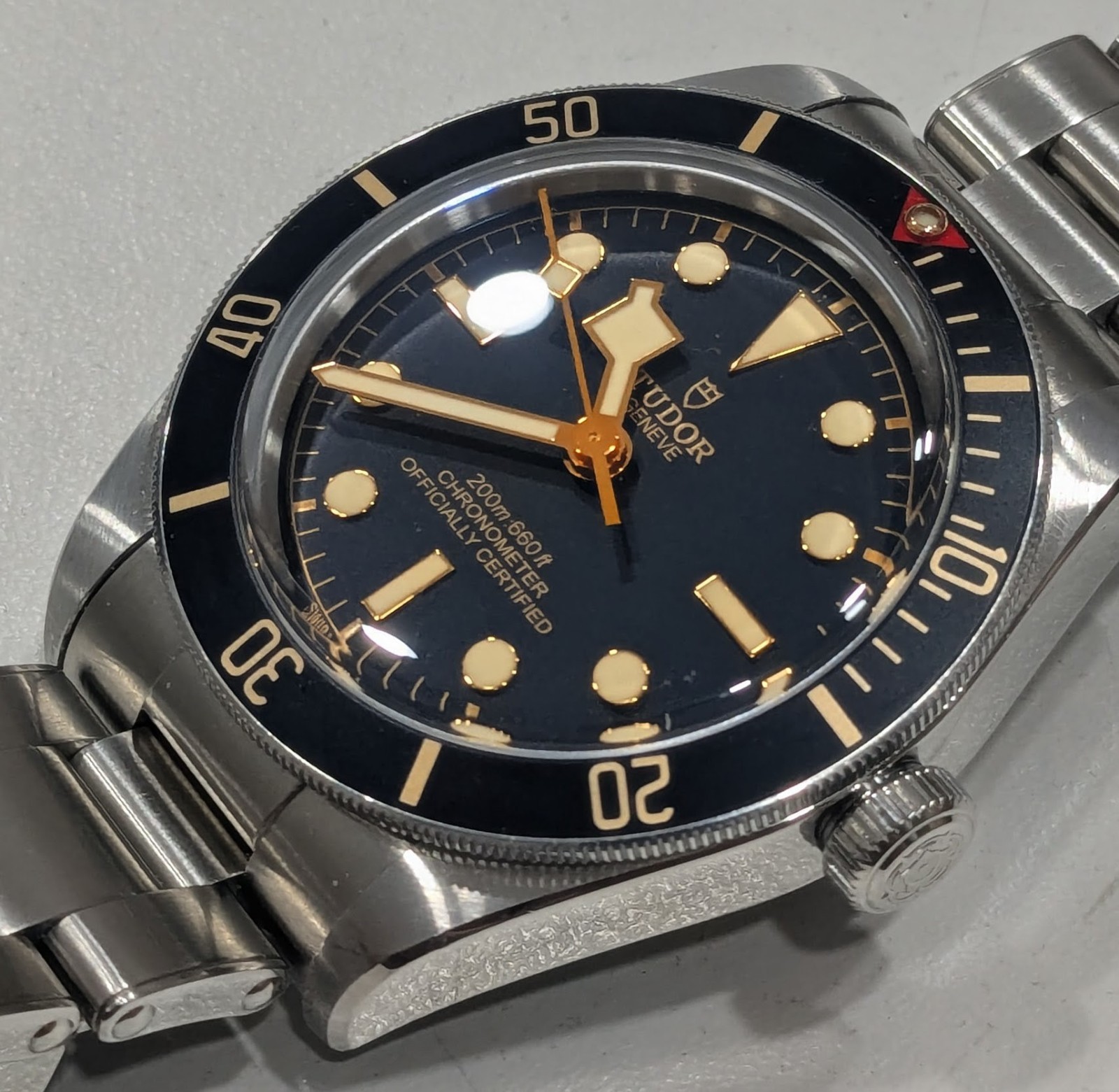 Tudor Black Bay M79030N