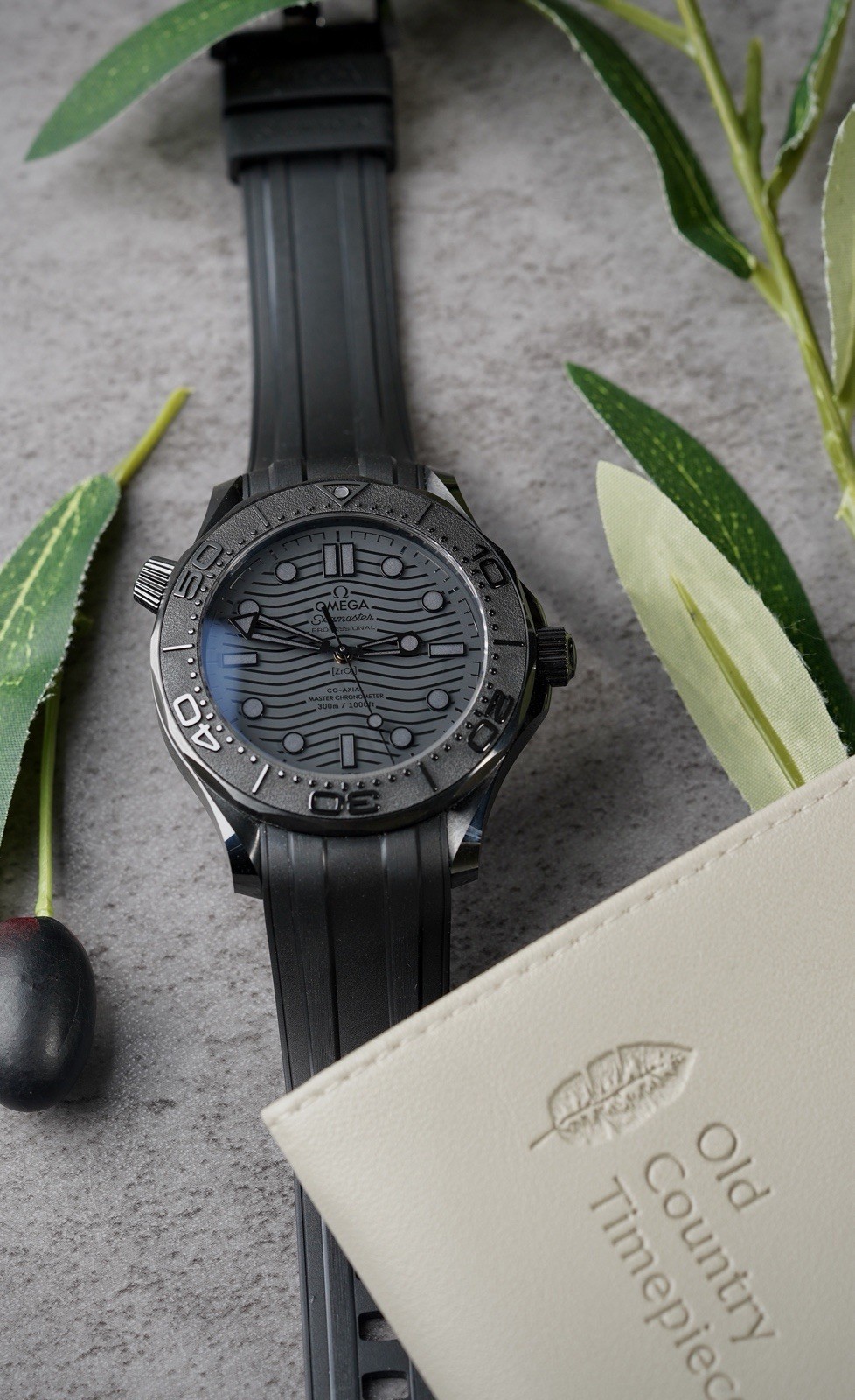 Omega Seamaster 210.92.44.20.01.003