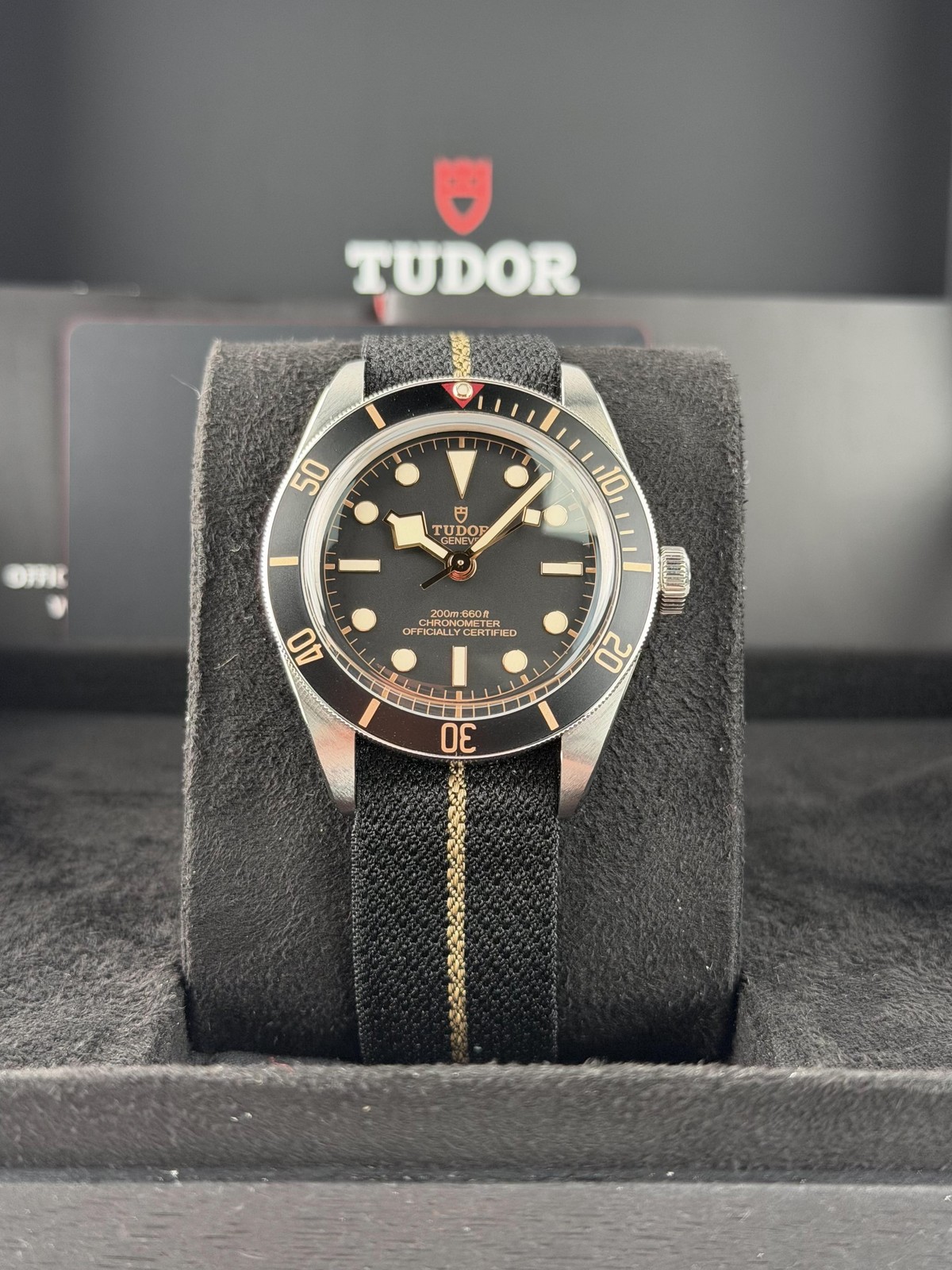 Tudor Black Bay M79030N-0002