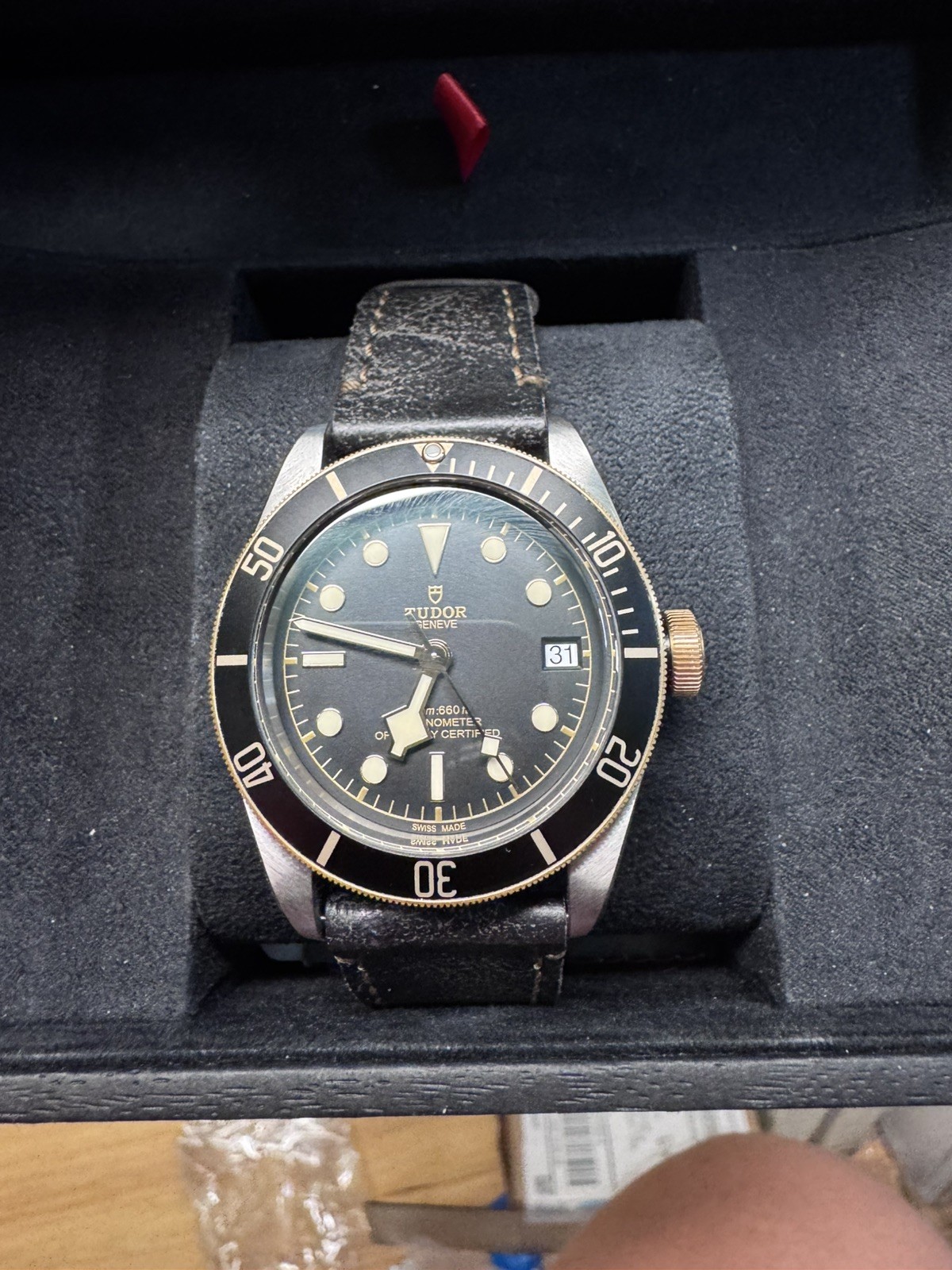 Tudor Black Bay 79733