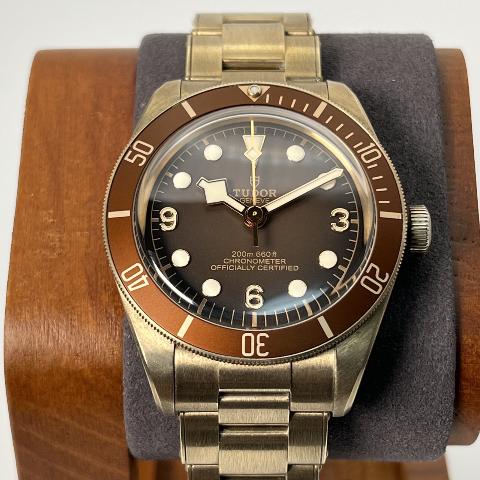 Tudor Black Bay 79012M