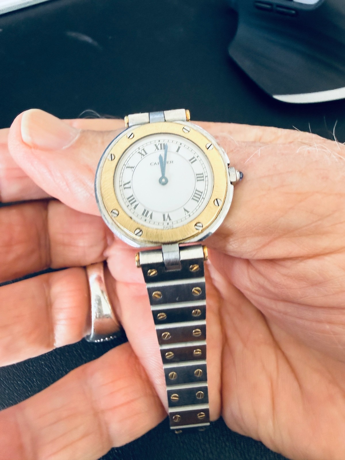 Cartier Panthère 166920