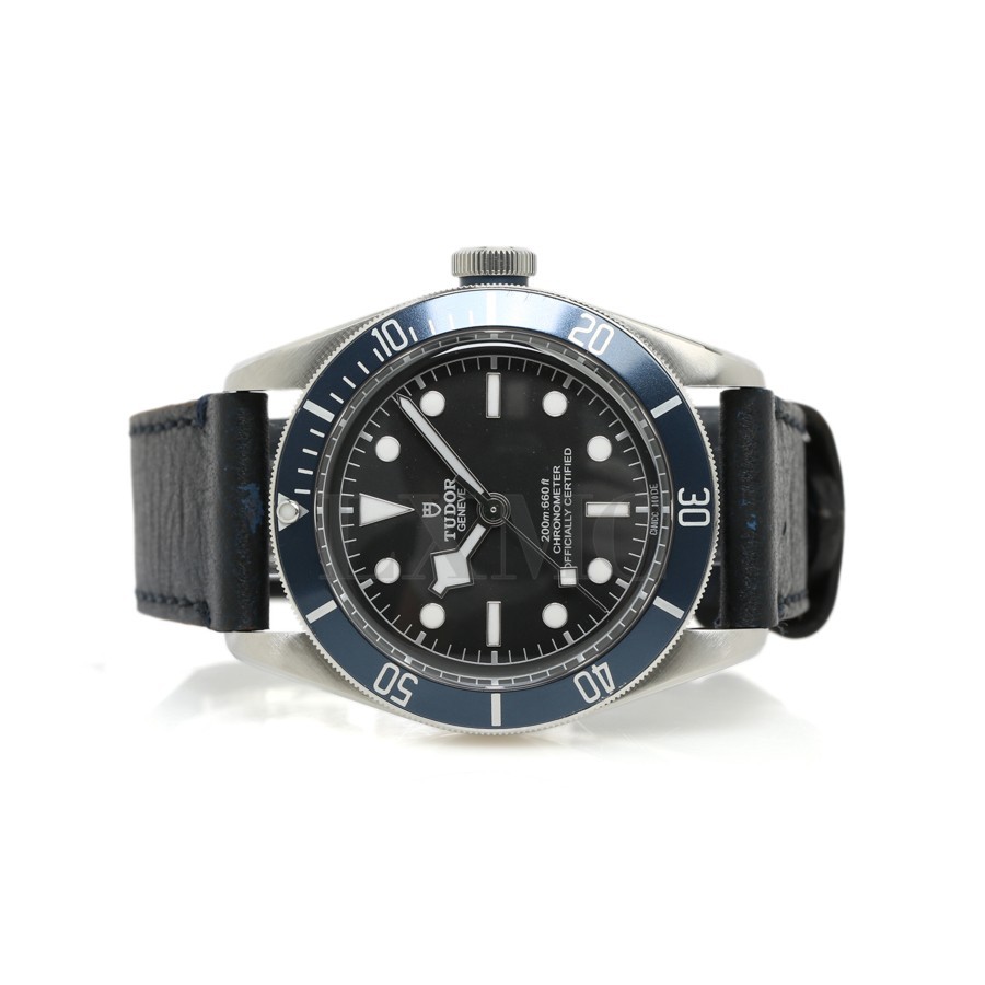 Tudor Heritage M79230B