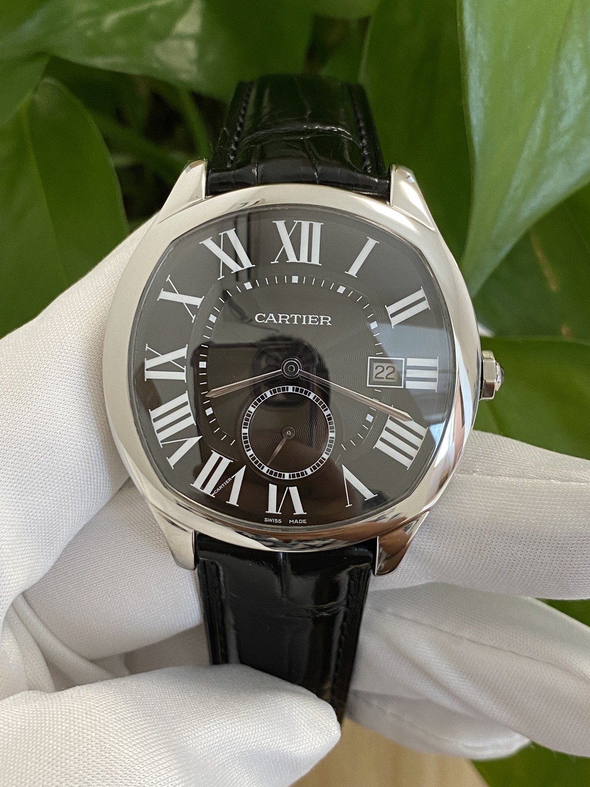 Cartier Drive WSNM0009