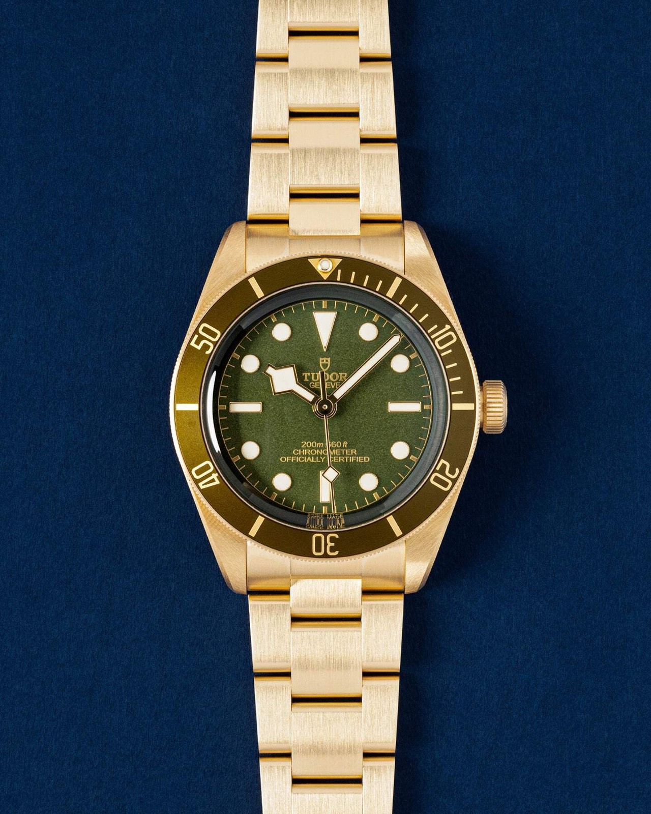 Tudor Black Bay 58 M79018V