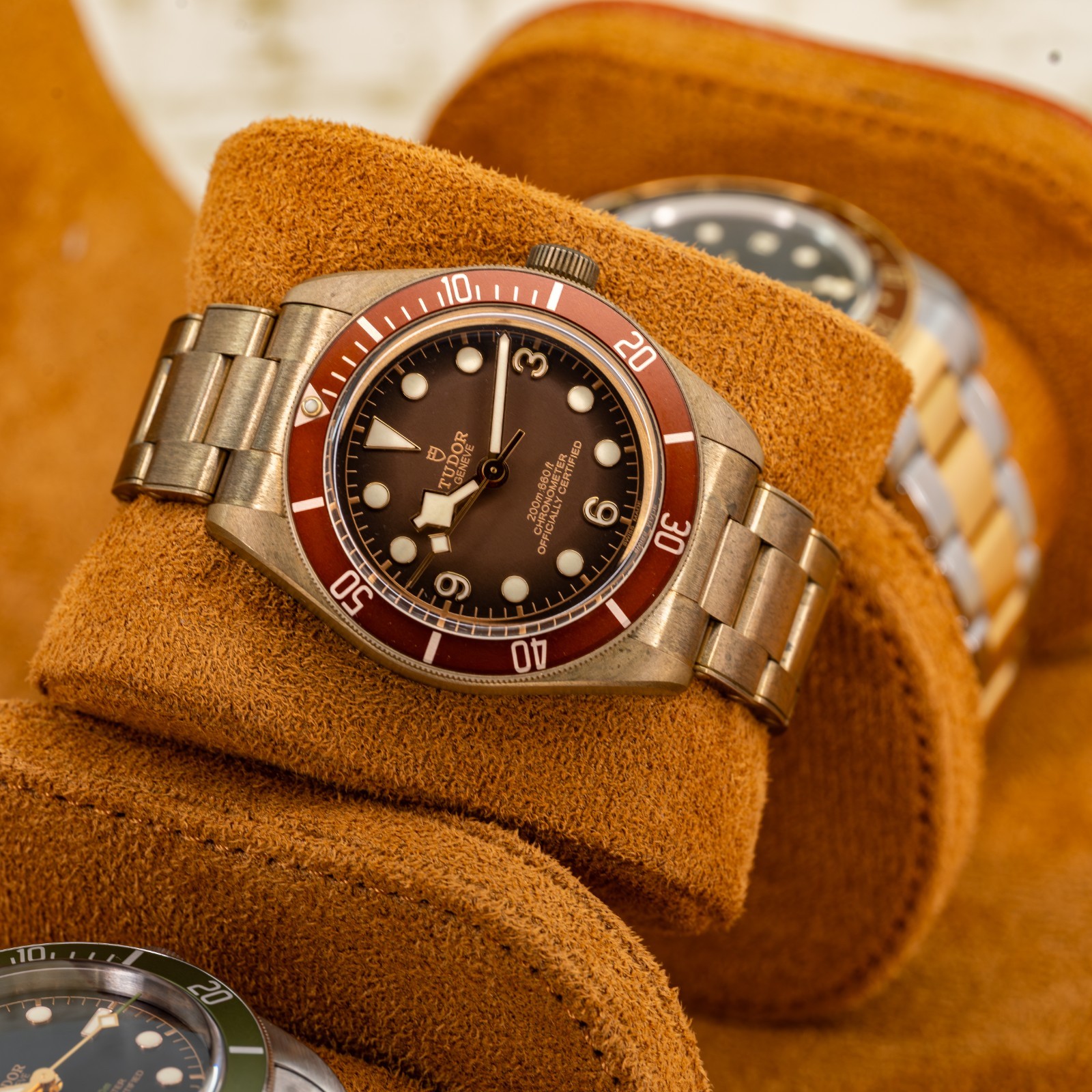 Tudor Black Bay M79012M-0001
