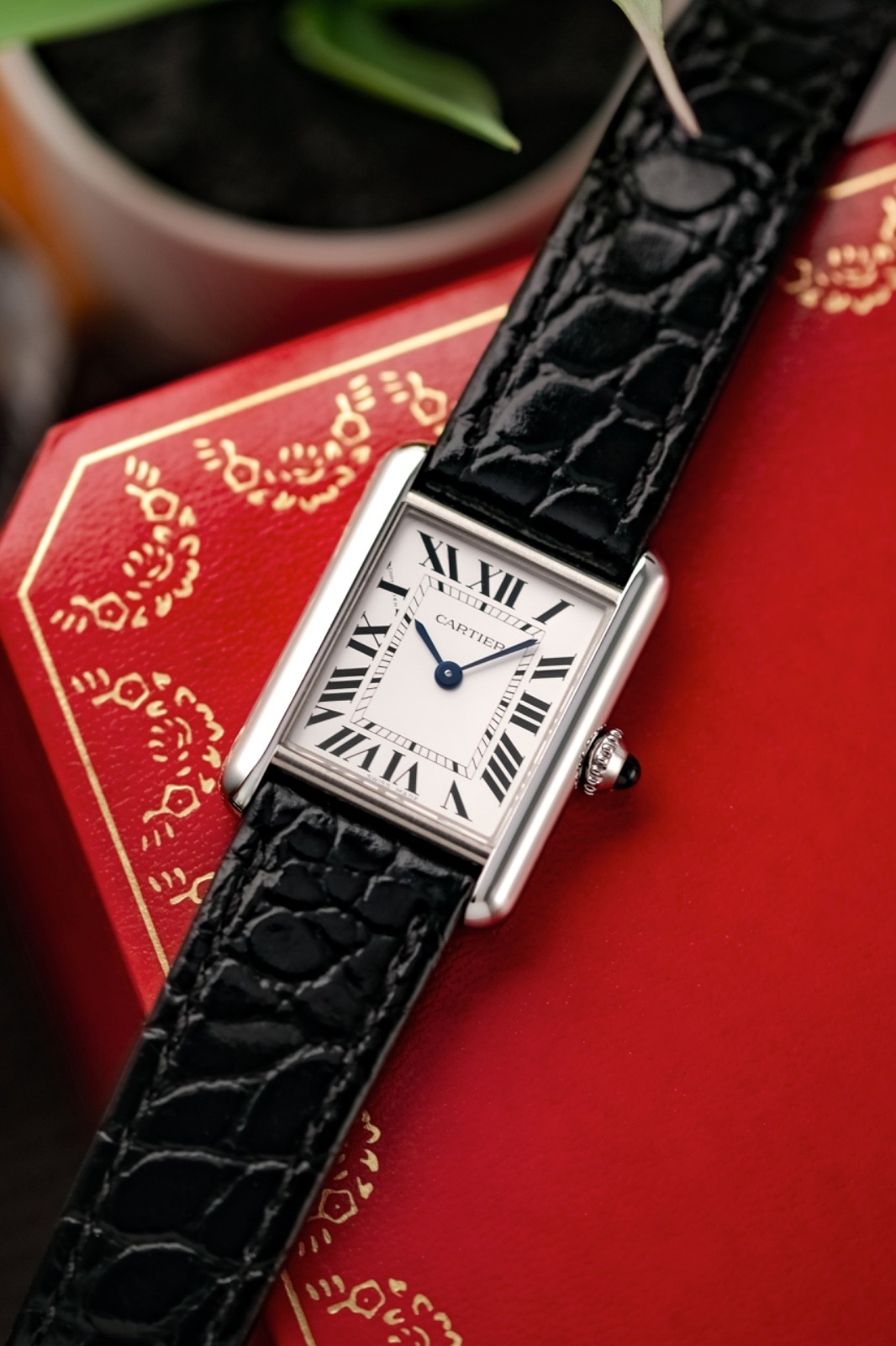 Cartier Tank Must WSTA0061