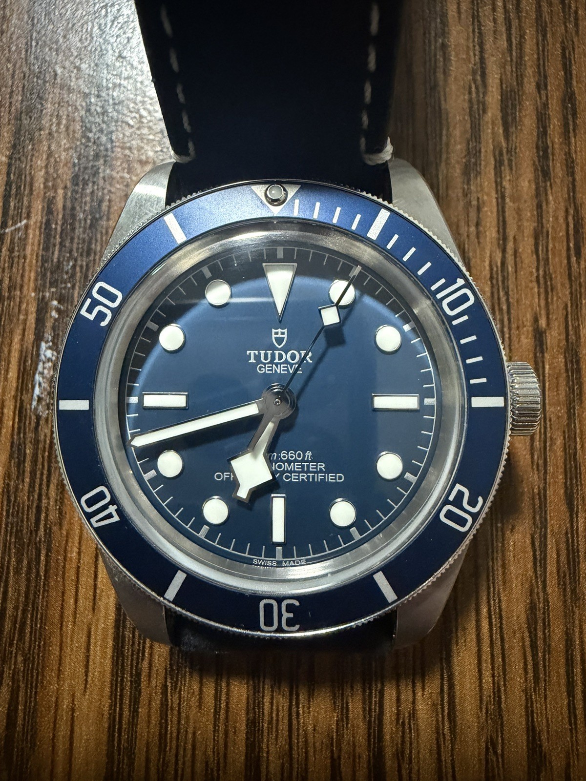 Tudor Black Bay 79030B