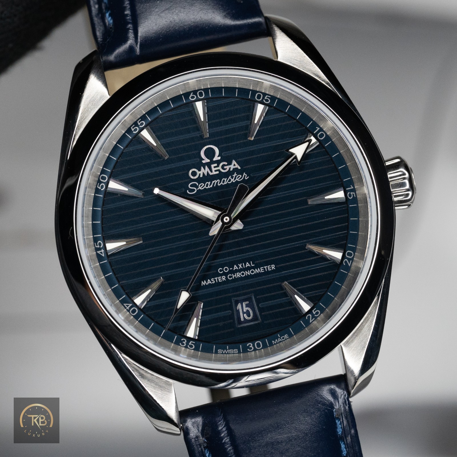 Omega Aqua Terra 220.13.38.21.03.001