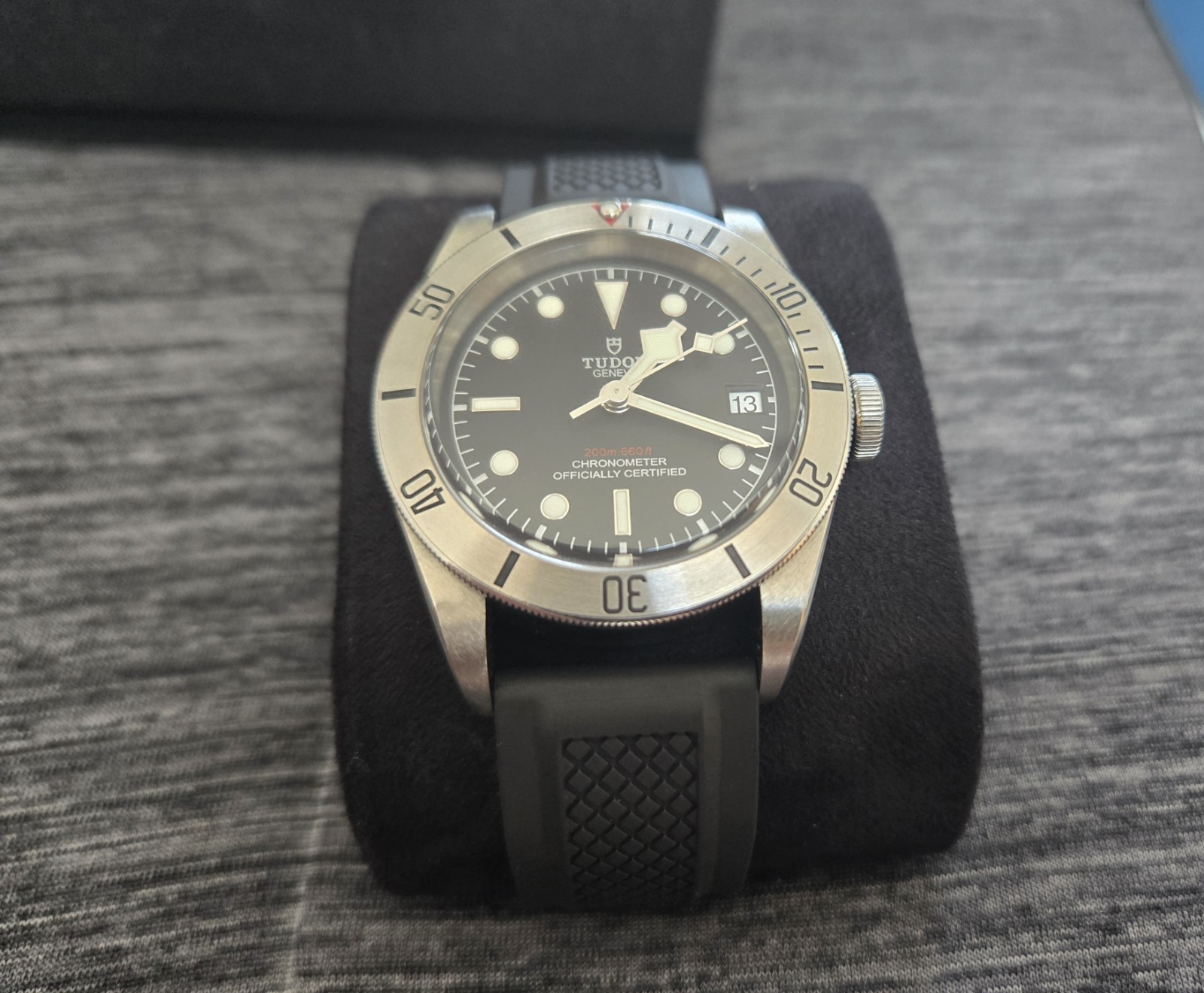 Tudor Black Bay M79730-0006
