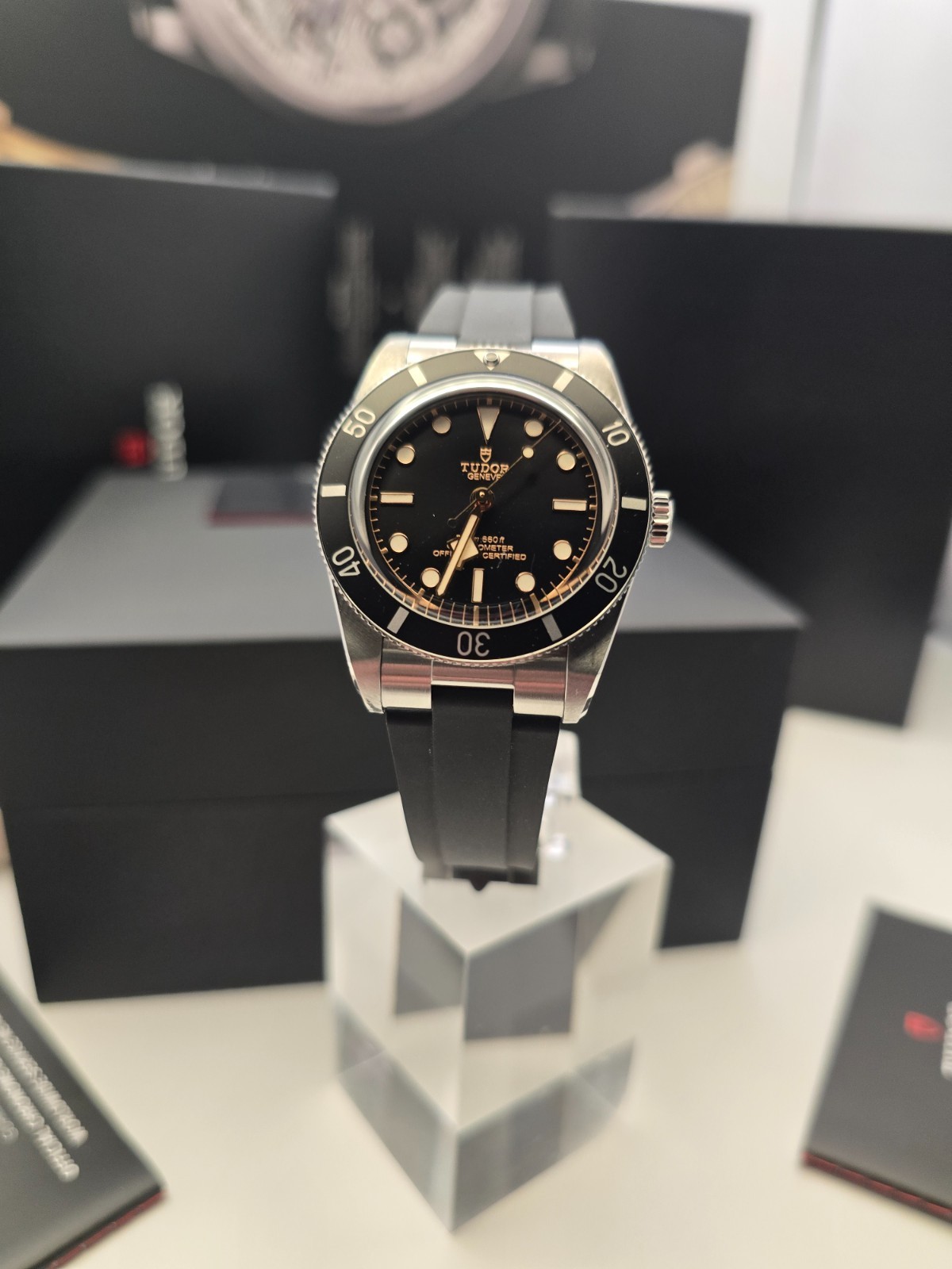 Tudor Black Bay 79000N