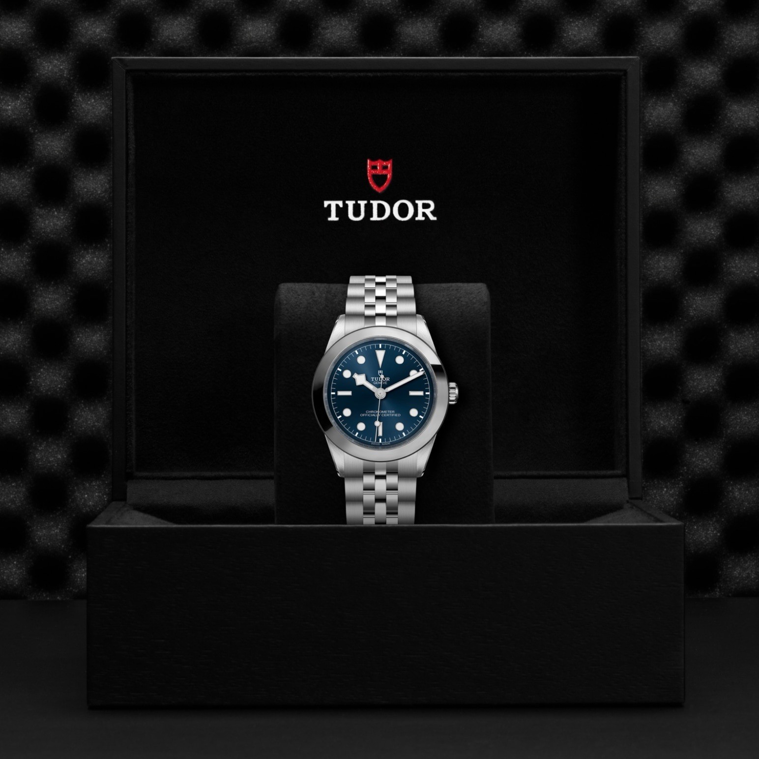 Tudor Black Bay M79660