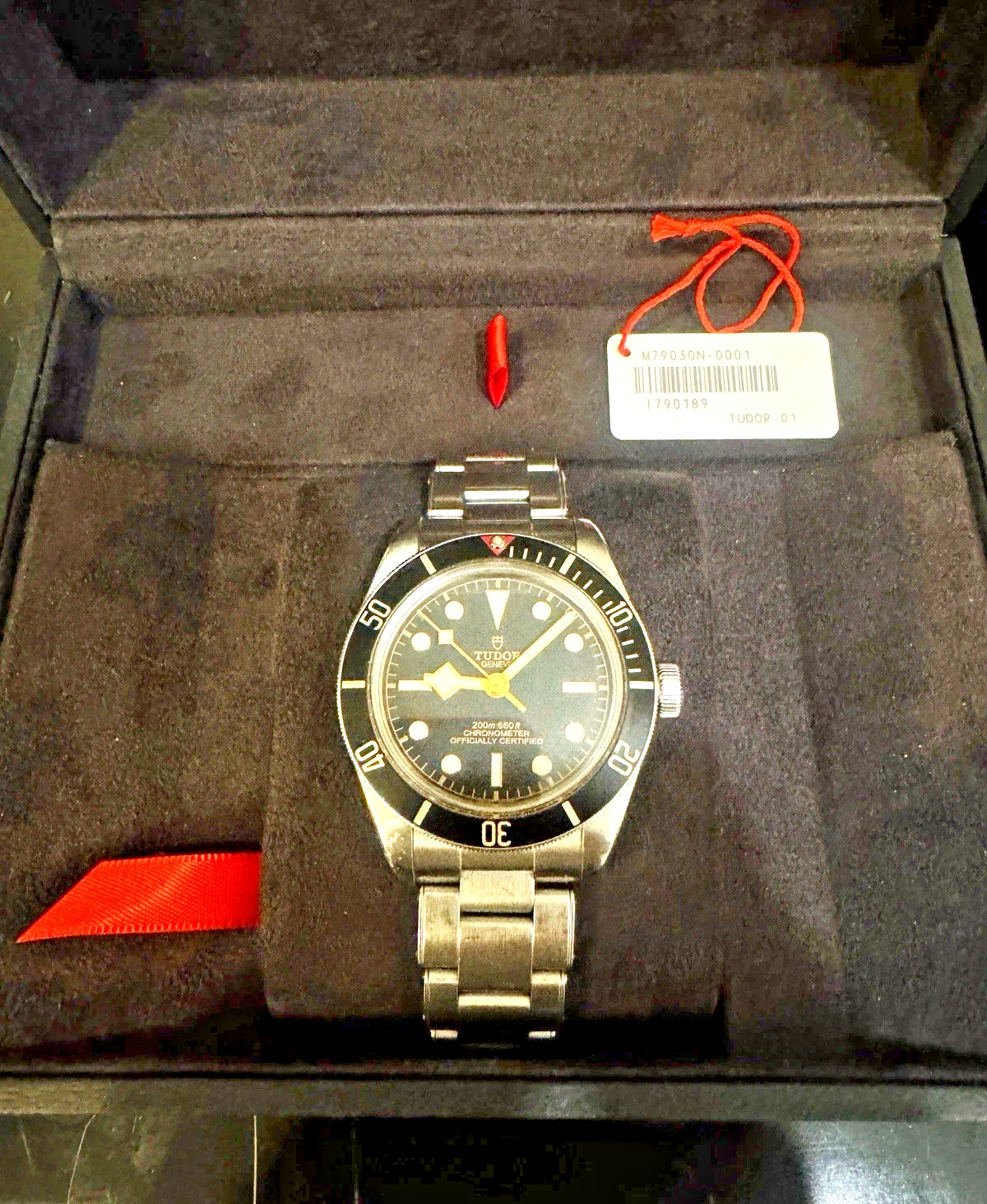 Tudor Black Bay 79030
