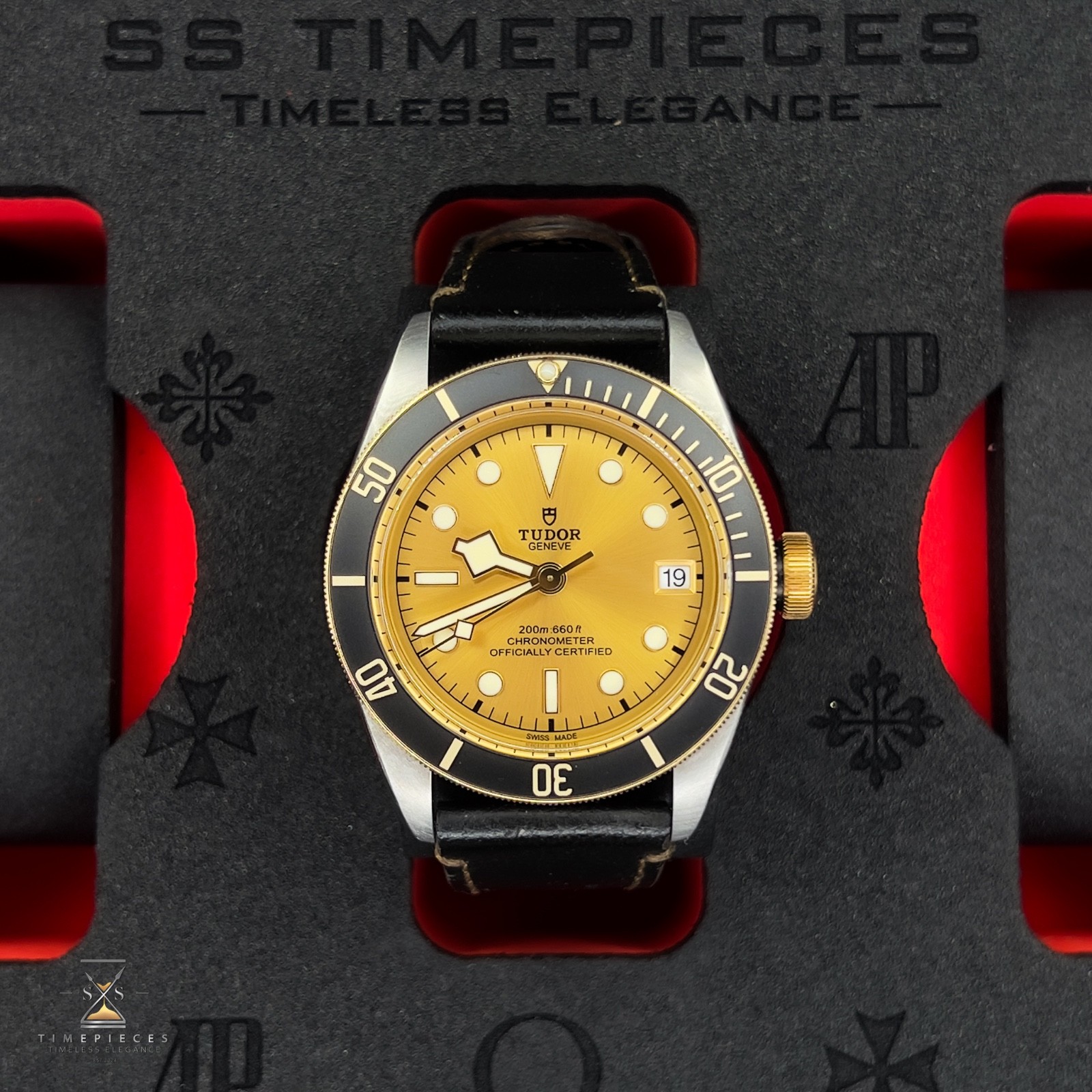 Tudor Black Bay M79733N-0003