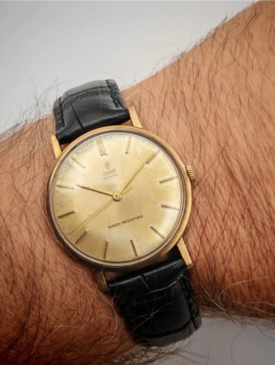 Tudor Royal 25160