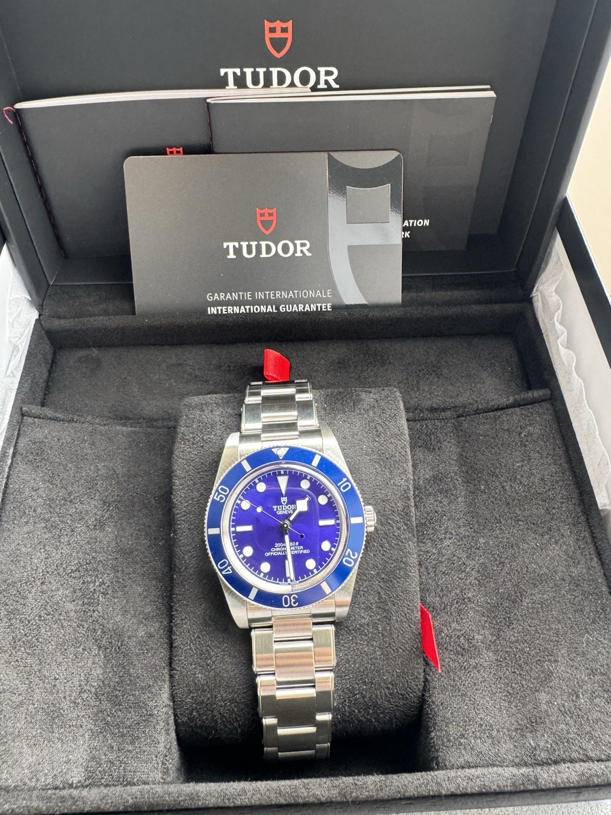 Tudor Black Bay M79000B-0001